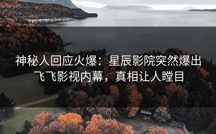 神秘人回应火爆：星辰影院突然爆出飞飞影视内幕，真相让人瞠目