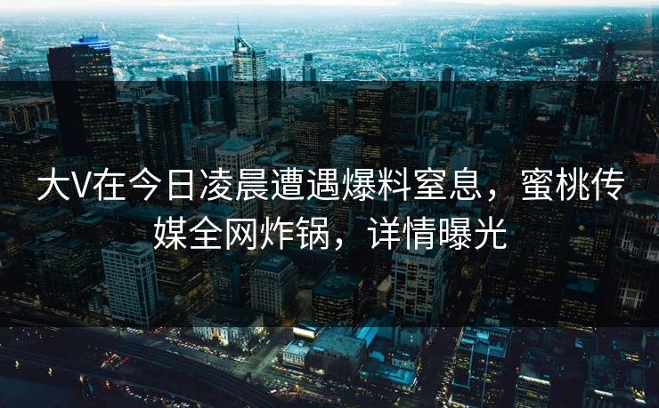 大V在今日凌晨遭遇爆料窒息，蜜桃传媒全网炸锅，详情曝光