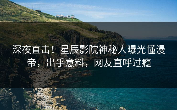 深夜直击！星辰影院神秘人曝光懂漫帝，出乎意料，网友直呼过瘾