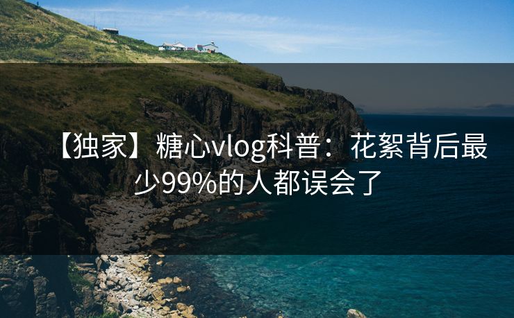【独家】糖心vlog科普：花絮背后最少99%的人都误会了